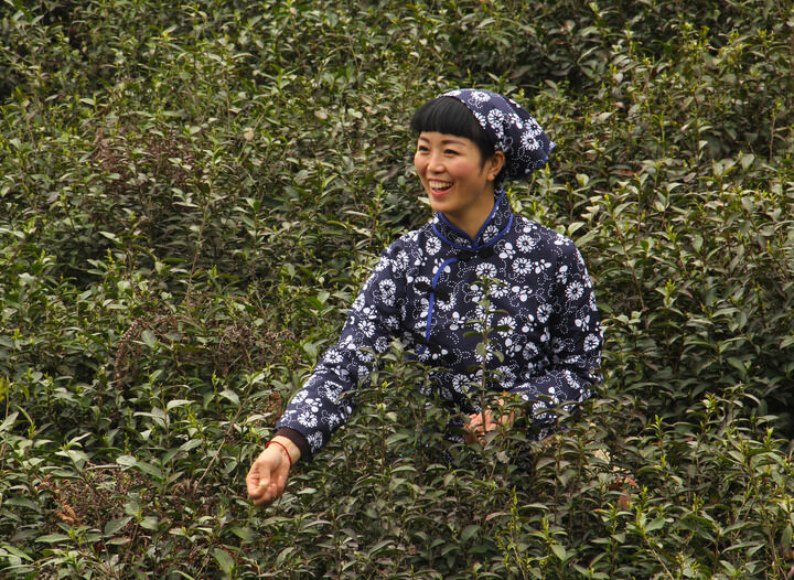 咒术回战 第二季